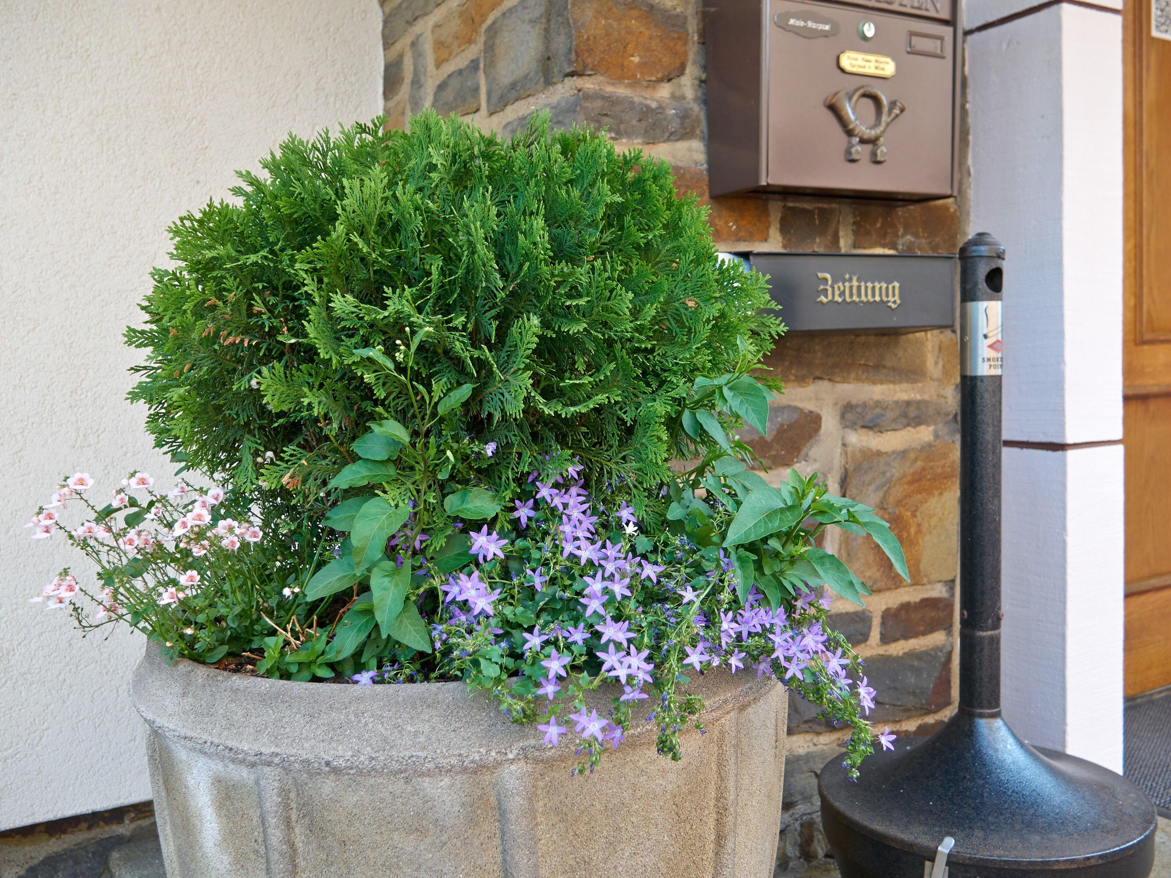 Haus Mooren, Garni Hotel Düsseldorf